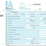 Esempio Stampa LIPE con schede mensili